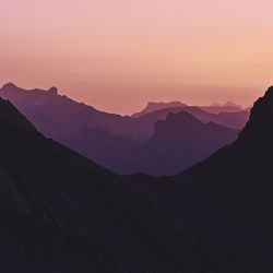 Theology at Saint Thomas: The Christian Exodus
