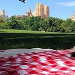 Pan-Asian Fellowship Picnic